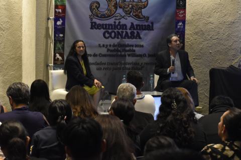 Productos Químico Farmacéuticos