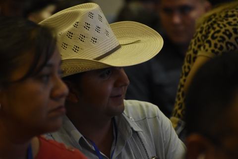 Salud y Producción Avícola